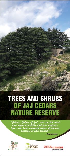  booklet image of Jaj Trees Booklet 2021